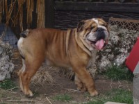 /album/fotogaleria/mama-225-jpg/